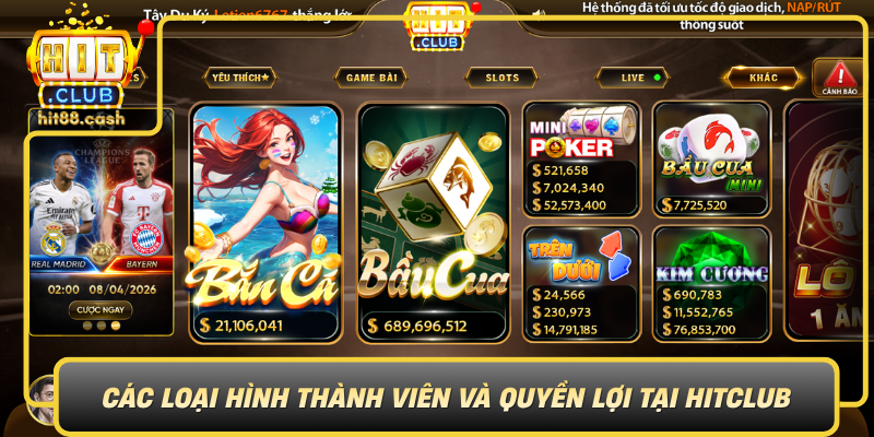 Đăng Ký HitClub Hôm Nay – Mở Khóa Thế Giới Game Đỉnh Cao 3 Cac Loai Hinh Thanh Vien Va Quyen Loi Tai Hitclub0