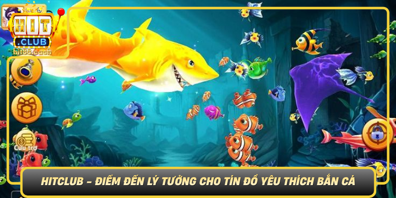 Hitclub Diem Den Ly Tuong Cho Tin Do Yeu Thich Ban Ca