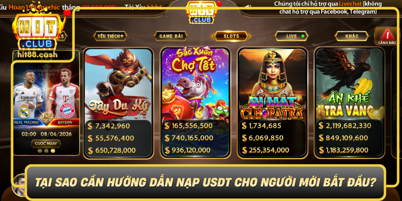 Tai Sao Can Huong Dan Nap Usdt Cho Nguoi Moi Bat Dau0